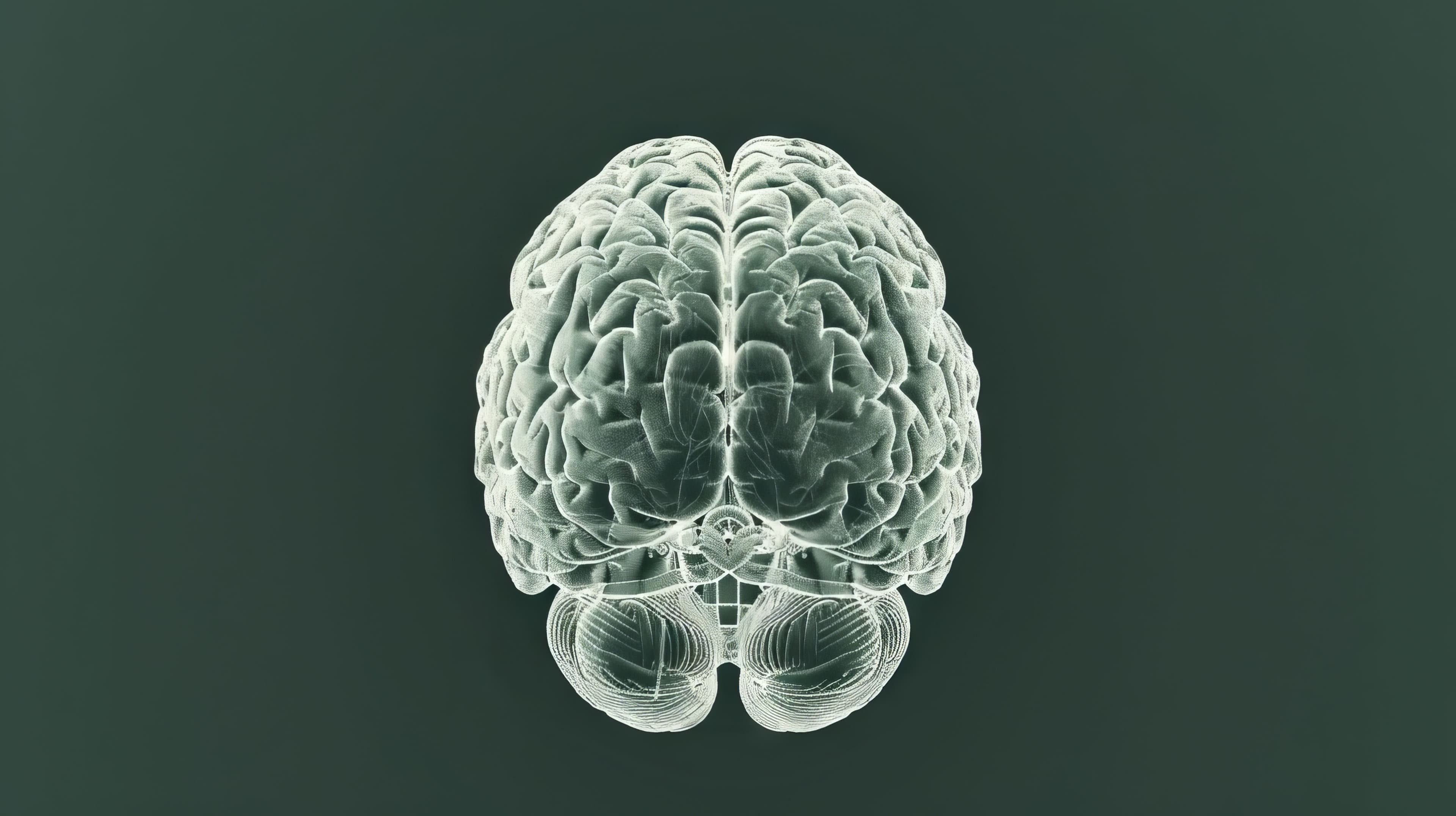 HIPAA-Compliant Secure System: Ensuring Patient Data Security in Brain Imaging Image